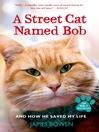 A Street Cat Named Bob [electronic resource]